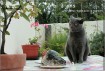 trois ans brumi